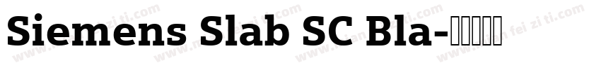 Siemens Slab SC Bla字体转换